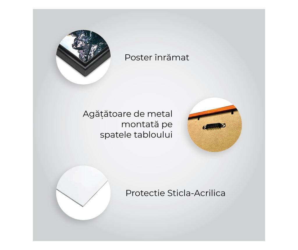 Uokvireni Plakati, Perching Bird, 80x60 cm, Zlatni okvir - 6