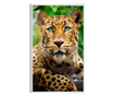 Plakat w ramce, Amur Leopard, 21 x 30 cm, biała ramka