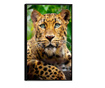 Uokvireni Plakati, Amur Leopard, 42 x 30 cm, Crni okvir