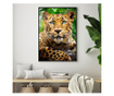 Plakat w ramce, Amur Leopard, 21 x 30 cm, czarna ramka