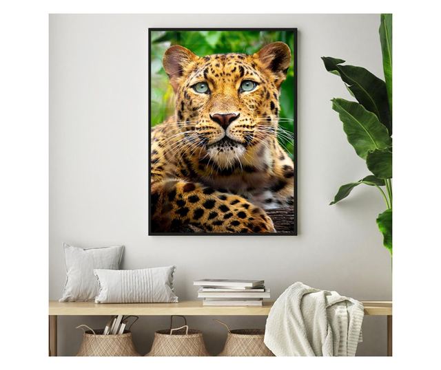Uokvireni Plakati, Amur Leopard, 42 x 30 cm, Crni okvir