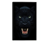 Plakat w ramce, Angry Panther, 42 x 30 cm, czarna ramka