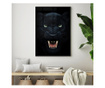 Uokvireni Plakati, Angry Panther, 21 x 30 cm, Črn okvir