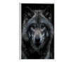 Plakat w ramce, Angry Wolf, 60x40 cm, biała ramka