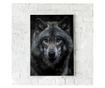 Uokvireni Plakati, Angry Wolf, 80x60 cm, Bijeli okvir