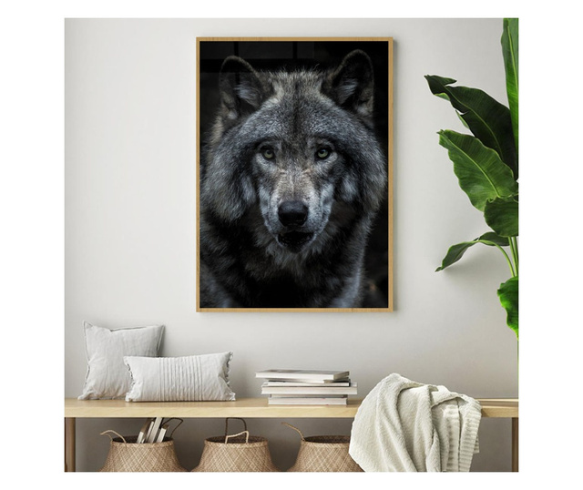 Plakat w ramce, Angry Wolf, 42 x 30 cm, złota rama