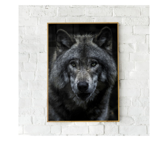 Plakat w ramce, Angry Wolf, 42 x 30 cm, złota rama
