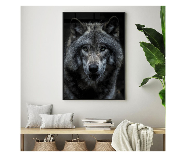 Plakat w ramce, Angry Wolf, 80x60 cm, czarna ramka