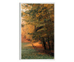 Plakat w ramce, Autumn Forest, 21 x 30 cm, biała ramka