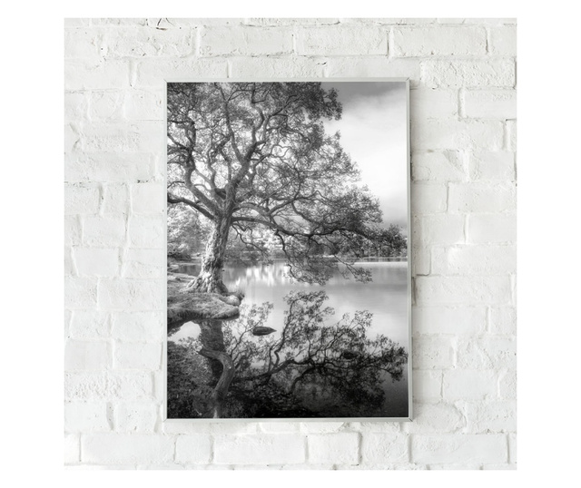 Plakat w ramce, Black And White Autumn, 80x60 cm, biała ramka