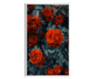 Uokvireni Plakati, Bright Red Rose, 42 x 30 cm, Bijeli okvir