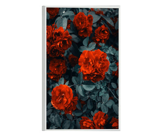 Uokvireni Plakati, Bright Red Rose, 60x40 cm, Bijeli okvir