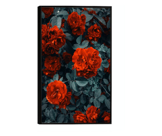 Uokvireni Plakati, Bright Red Rose, 60x40 cm, Črn okvir