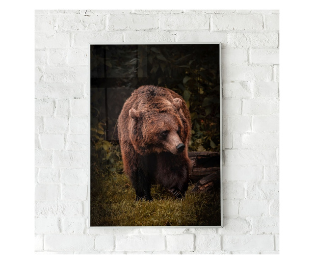 Plakat w ramce, Brown Bear, 60x40 cm, biała ramka