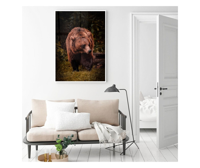 Plakat w ramce, Brown Bear, 80x60 cm, biała ramka