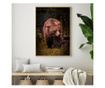 Plakat w ramce, Brown Bear, 60x40 cm, złota rama