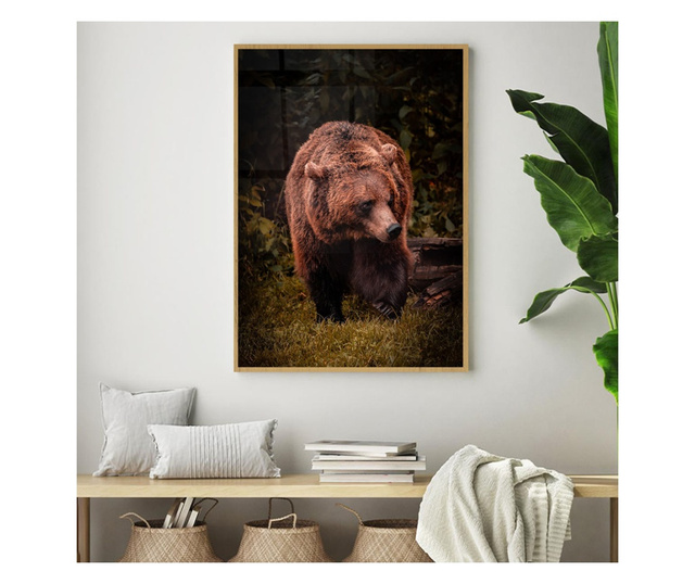Plakat w ramce, Brown Bear, 60x40 cm, złota rama