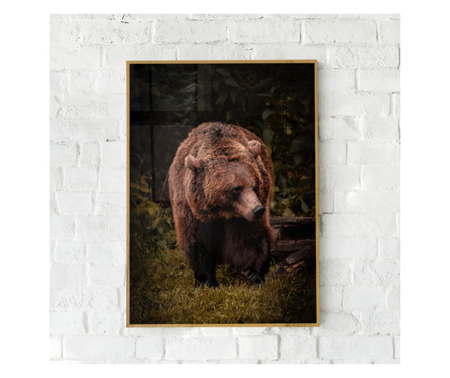 Plakat w ramce, Brown Bear, 80x60 cm, złota rama
