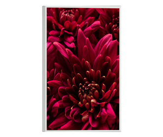 Plakat w ramce, Burgundy Flowers, 60x40 cm, biała ramka