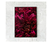 Plakat w ramce, Burgundy Flowers, 80x60 cm, czarna ramka