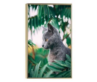 Uokvireni Plakati, Cat Tree, 80x60 cm, Zlatni okvir