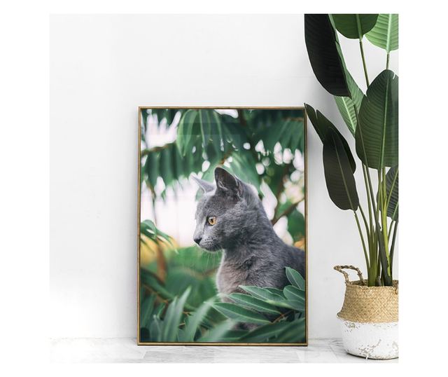 Uokvireni Plakati, Cat Tree, 80x60 cm, Zlatni okvir