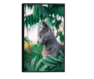 Uokvireni Plakati, Cat Tree, 60x40 cm, Črn okvir
