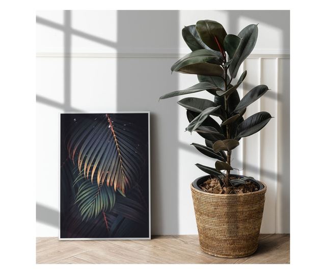 Uokvireni Plakati, Dark Green Tropical, 42 x 30 cm, Bijeli okvir