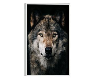 Uokvireni Plakati, Dark Wolf, 21 x 30 cm, Bijeli okvir