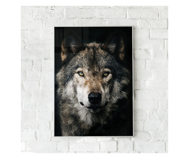 Uokvireni Plakati, Dark Wolf, 21 x 30 cm, Bijeli okvir