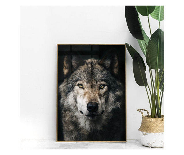 Uokvireni Plakati, Dark Wolf, 42 x 30 cm, Zlatni okvir