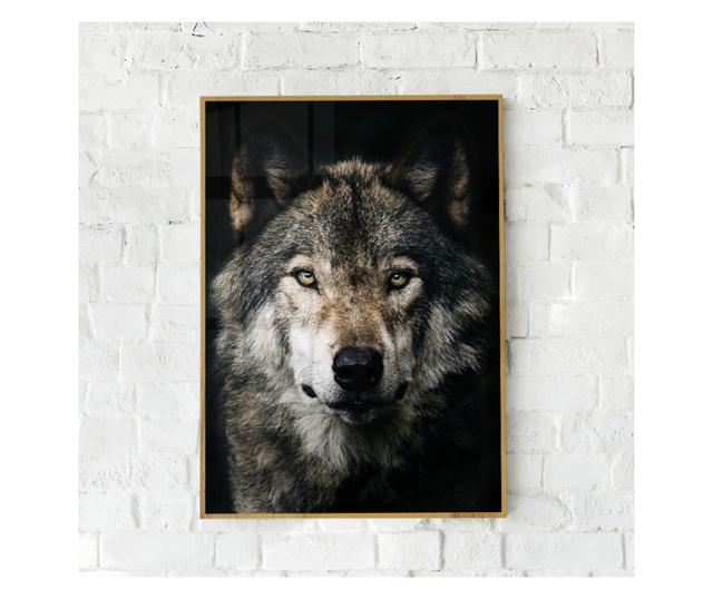 Uokvireni Plakati, Dark Wolf, 42 x 30 cm, Zlatni okvir
