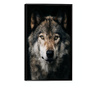Uokvireni Plakati, Dark Wolf, 80x60 cm, Črn okvir