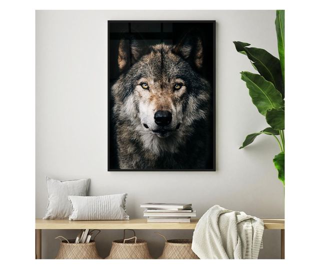 Uokvireni Plakati, Dark Wolf, 42 x 30 cm, Črn okvir