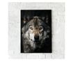 Uokvireni Plakati, Dark Wolf, 42 x 30 cm, Črn okvir