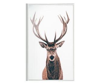 Uokvireni Plakati, Deer Portait, 21 x 30 cm, Bijeli okvir