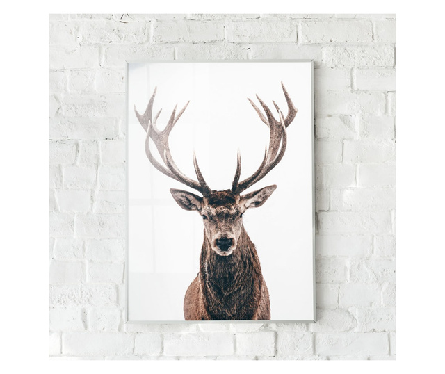 Uokvireni Plakati, Deer Portait, 21 x 30 cm, Bijeli okvir