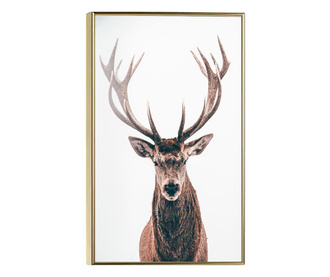 Uokvireni Plakati, Deer Portait, 21 x 30 cm, Zlatni okvir