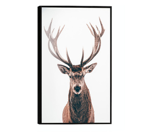 Uokvireni Plakati, Deer Portait, 21 x 30 cm, Črn okvir