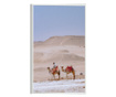 Uokvireni Plakati, Desert Camel, 80x60 cm, Bijeli okvir