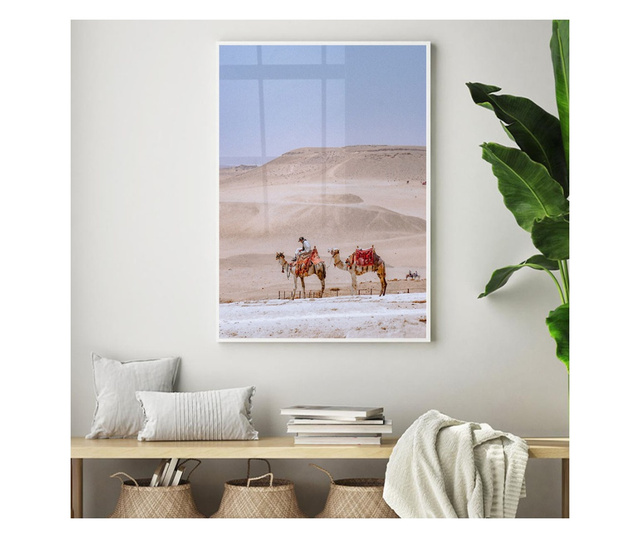 Uokvireni Plakati, Desert Camel, 80x60 cm, Bijeli okvir