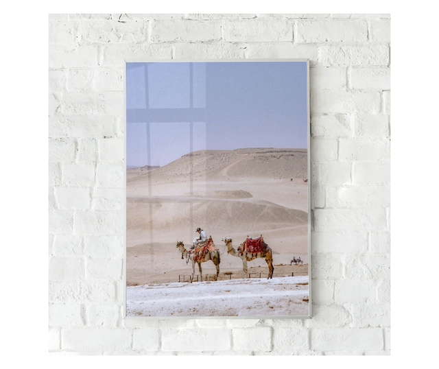 Uokvireni Plakati, Desert Camel, 60x40 cm, Bijeli okvir