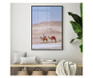 Uokvireni Plakati, Desert Camel, 42 x 30 cm, Črn okvir
