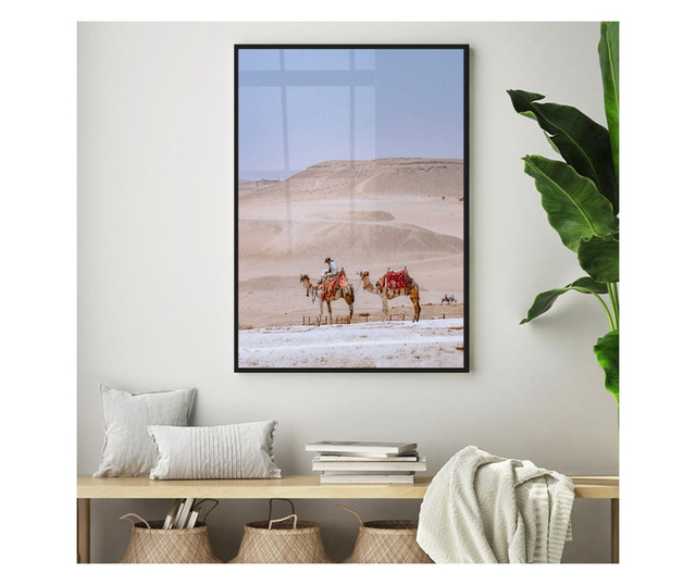 Uokvireni Plakati, Desert Camel, 80x60 cm, Črn okvir