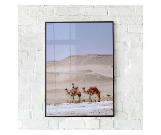 Uokvireni Plakati, Desert Camel, 42 x 30 cm, Črn okvir