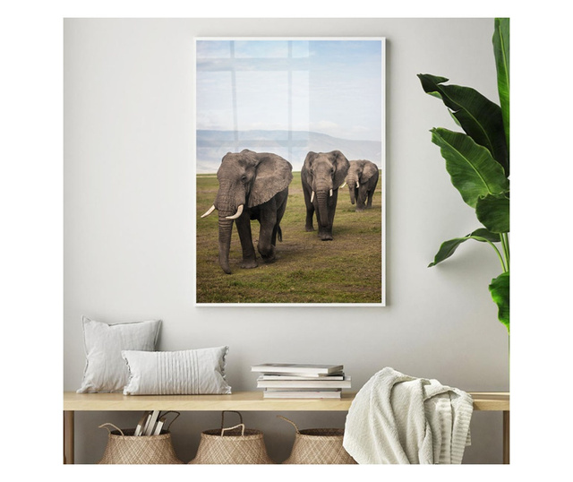 Uokvireni Plakati, Elephant Landscape, 50x 70 cm, Bijeli okvir