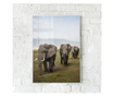 Uokvireni Plakati, Elephant Landscape, 21 x 30 cm, Bijeli okvir