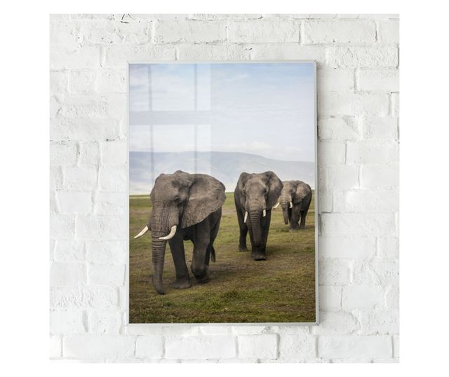 Uokvireni Plakati, Elephant Landscape, 21 x 30 cm, Bijeli okvir