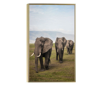 Uokvireni Plakati, Elephant Landscape, 21 x 30 cm, Zlatni okvir
