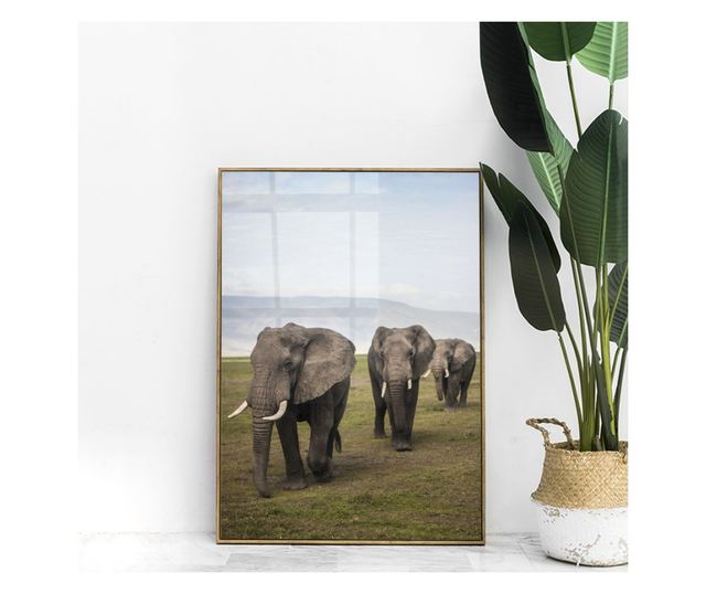 Uokvireni Plakati, Elephant Landscape, 21 x 30 cm, Zlatni okvir